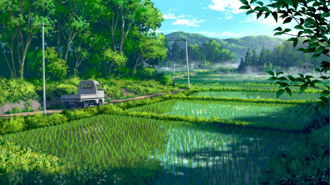 Rice field